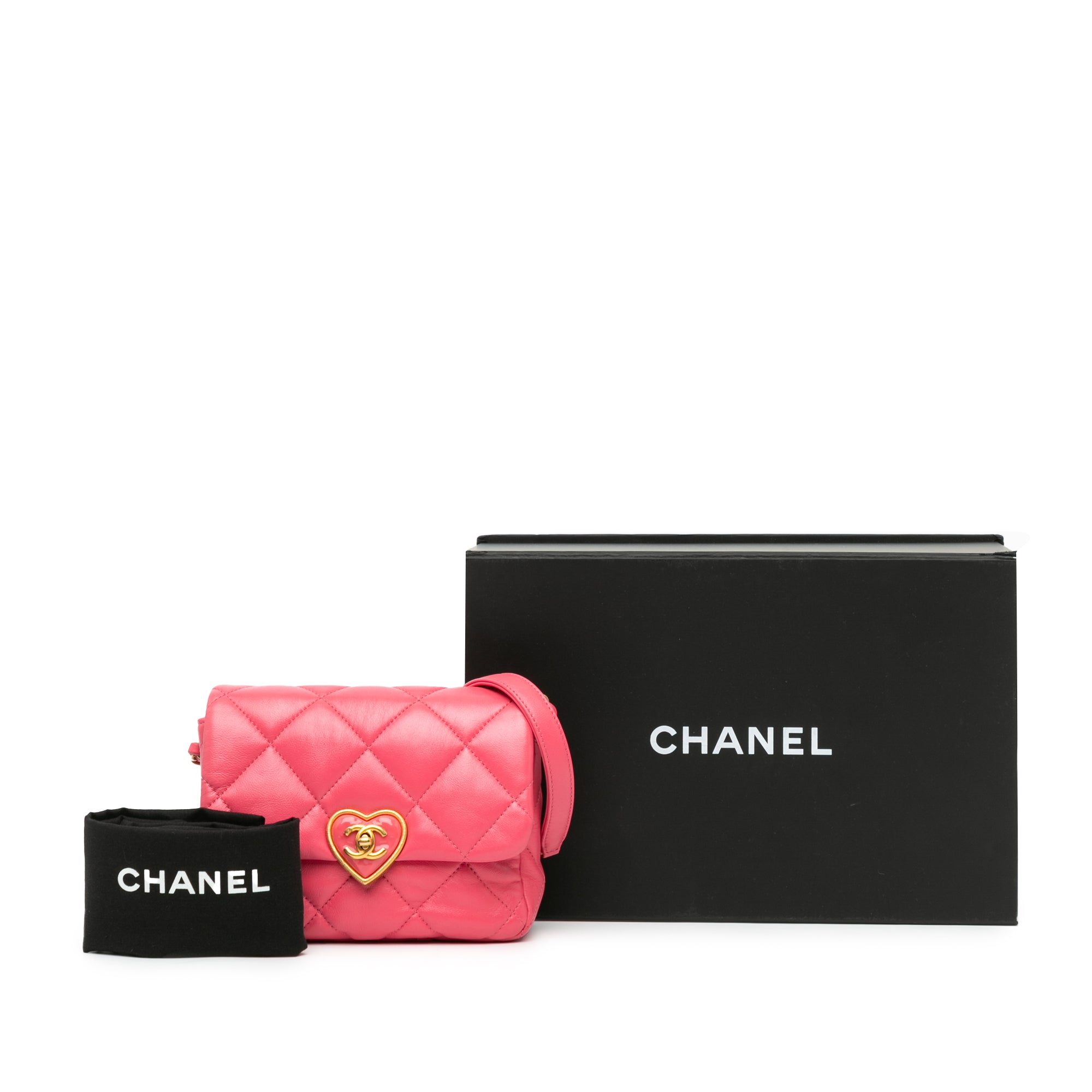 Chanel Mini Quilted Lambskin Acrylic Coco Love Flap - image 9