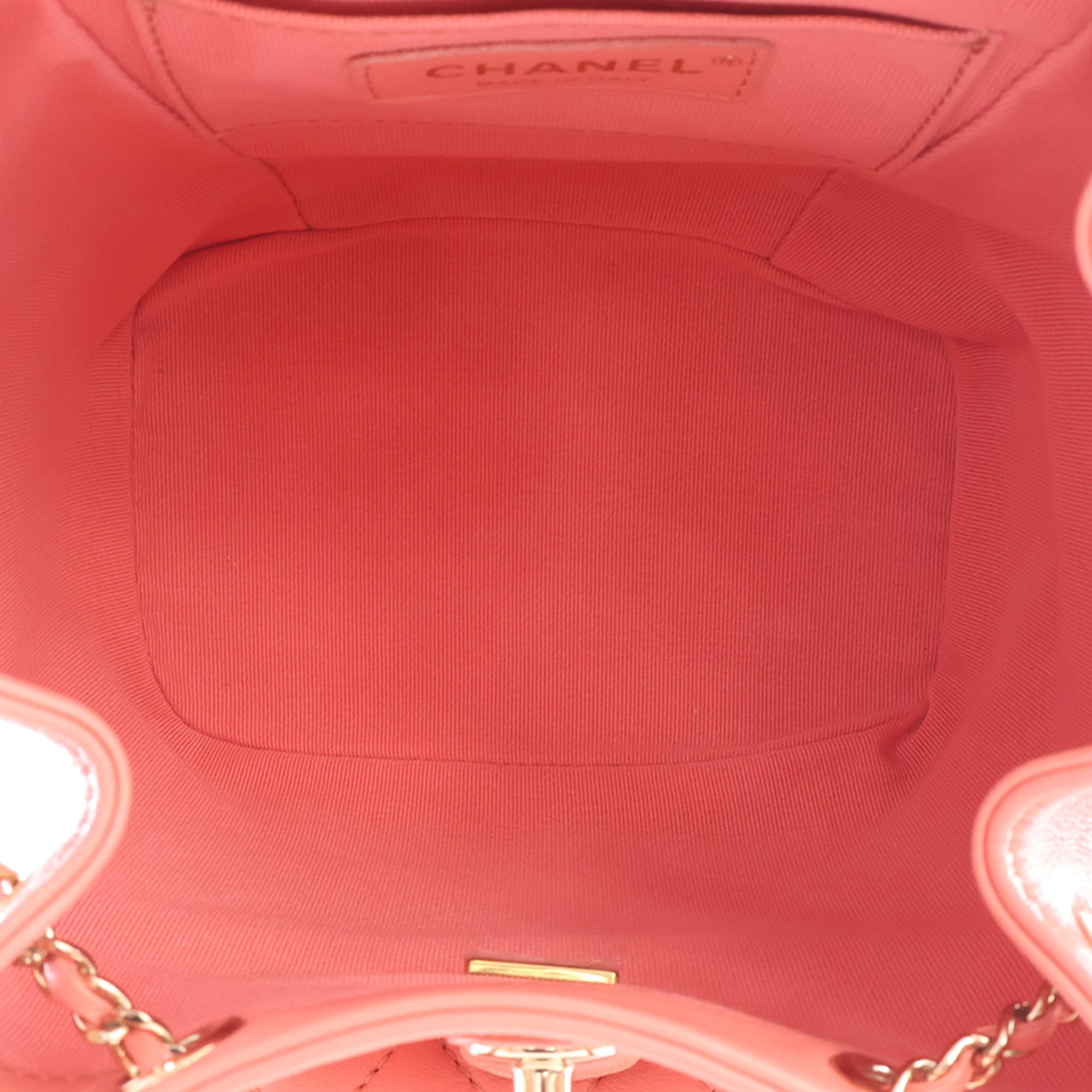 Chanel Small Lambskin Duma Backpack - image 10