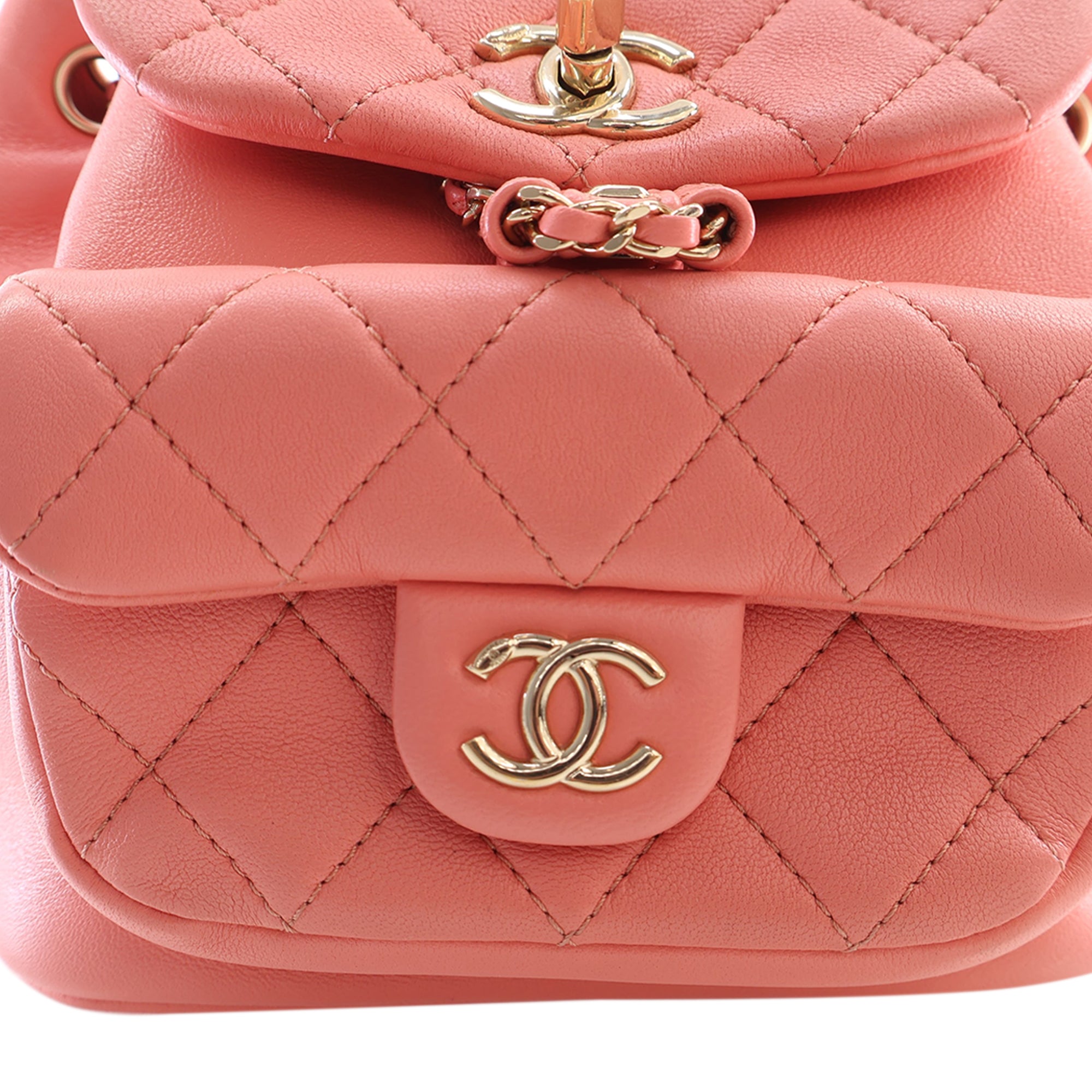 Chanel Small Lambskin Duma Backpack - image 13