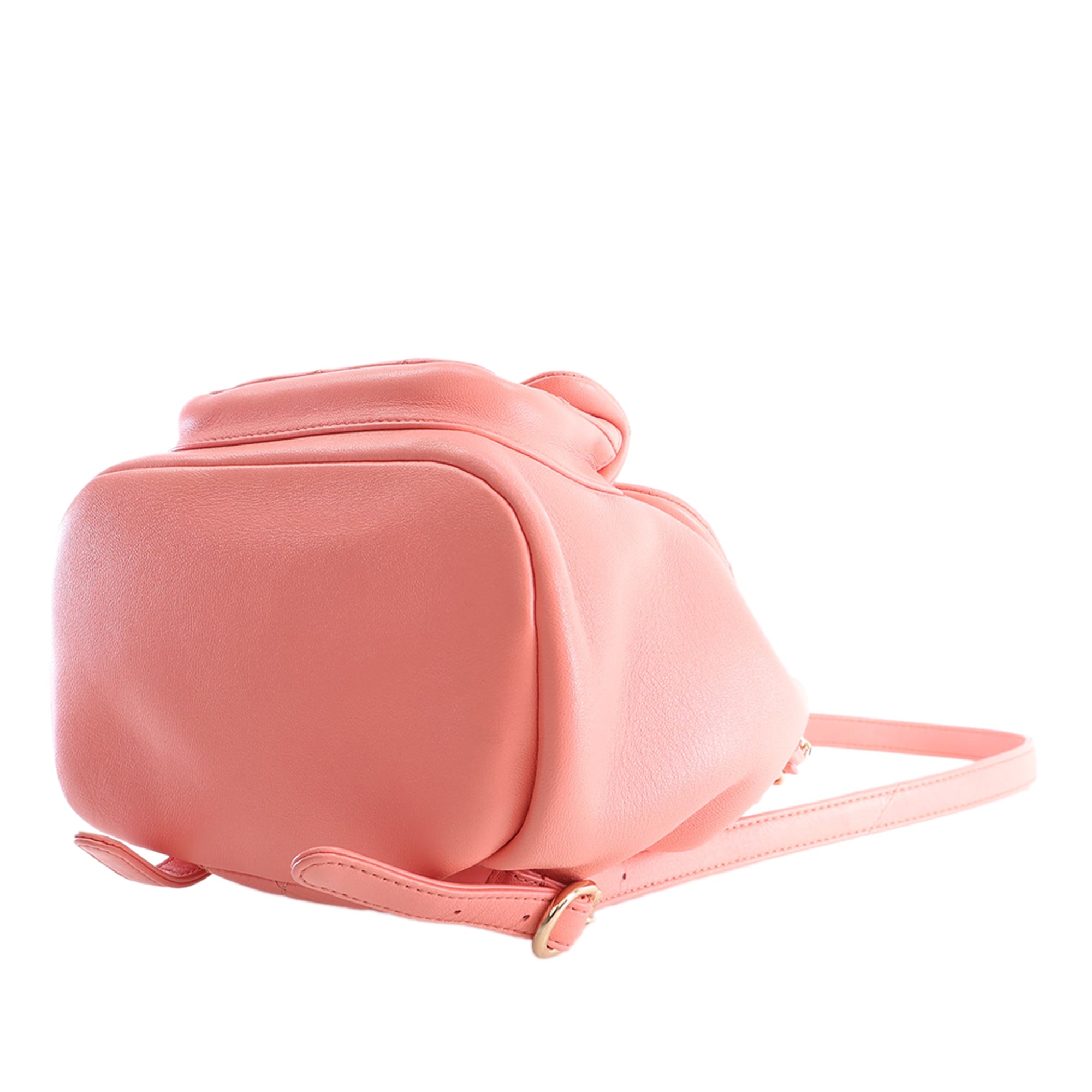 Chanel Small Lambskin Duma Backpack - image 6