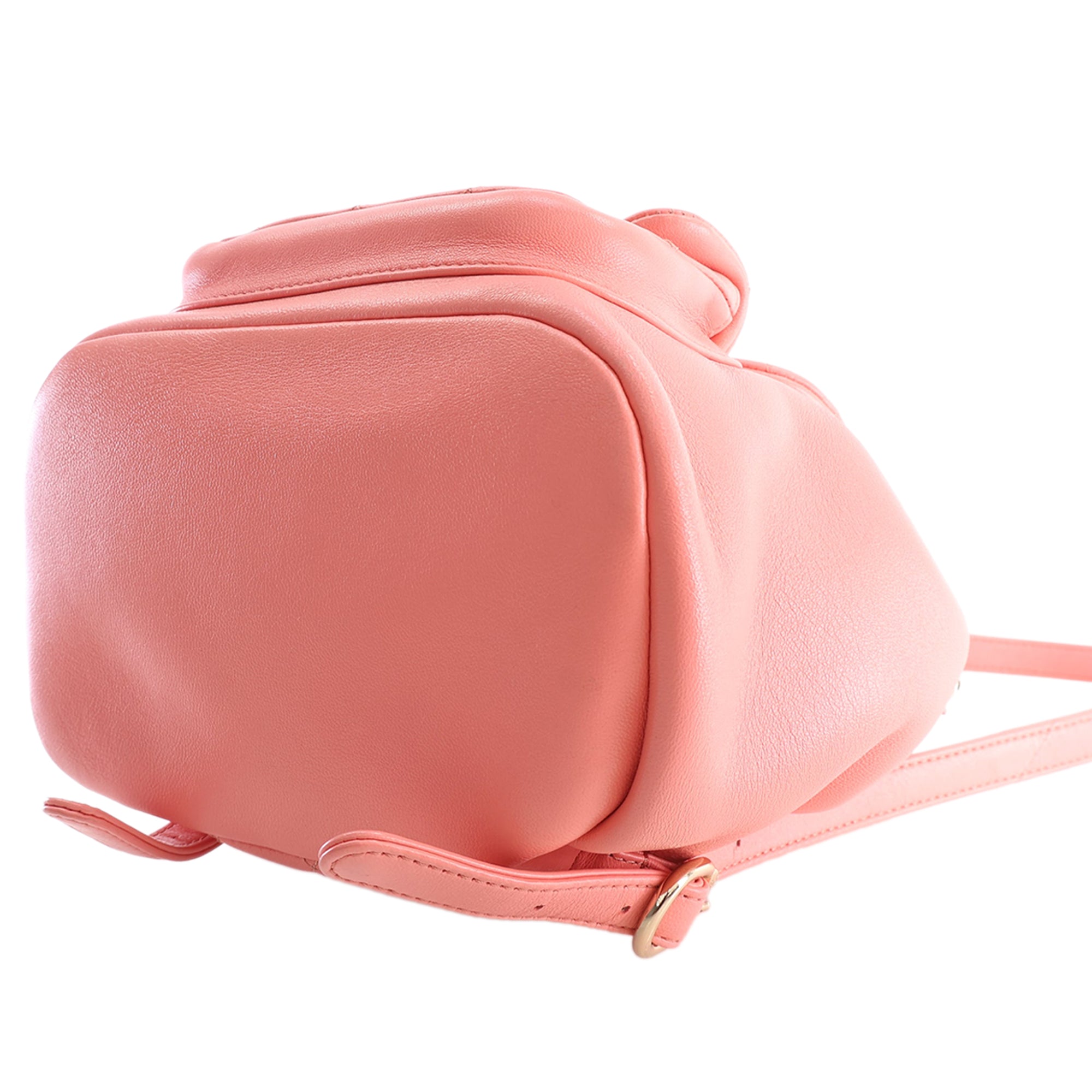 Chanel Small Lambskin Duma Backpack - image 7