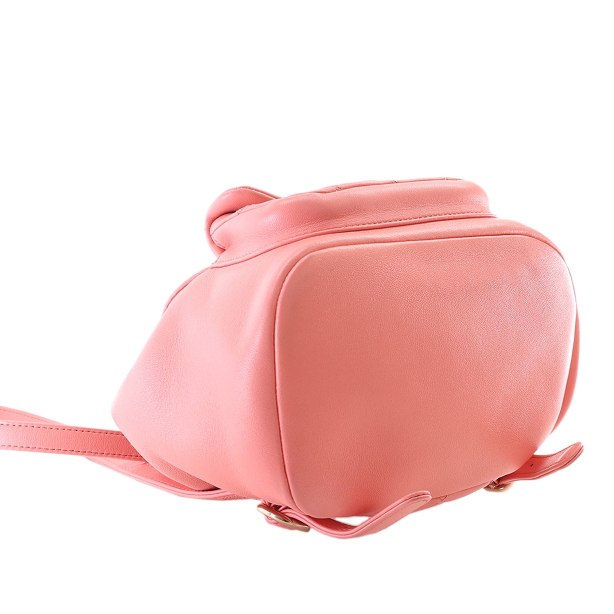 Chanel Small Lambskin Duma Backpack - image 9