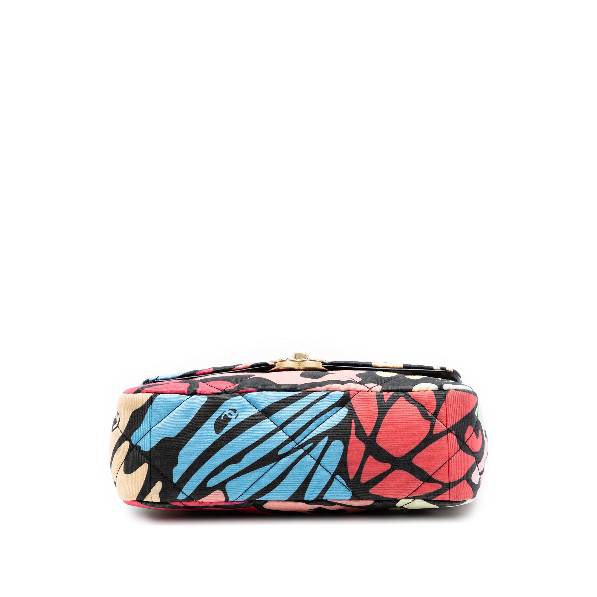 Chanel Medium Printed Canvas 19 Flap - image 3