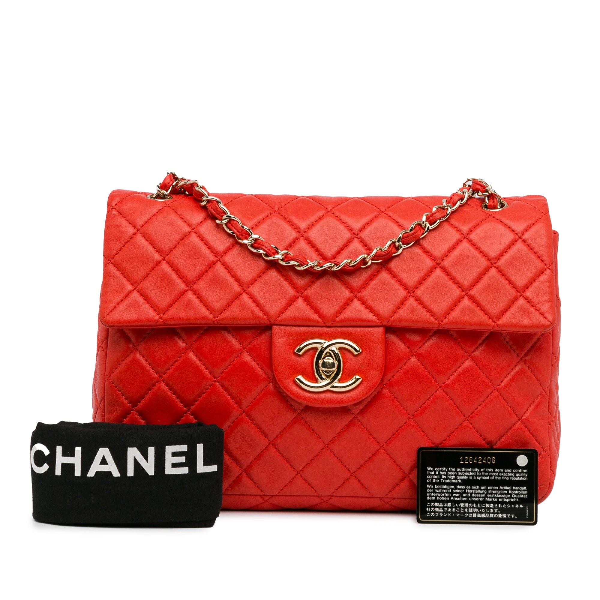 Chanel Jumbo XL Classic Lambskin Single Flap - image 12