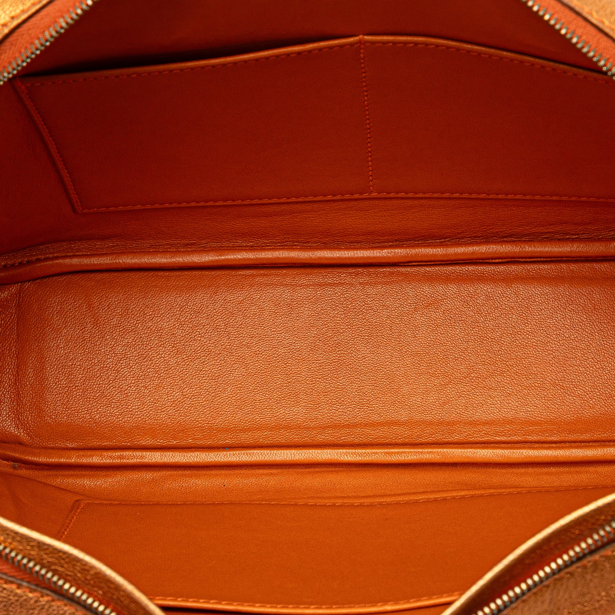 Hermès Metallic Chevre Coromandel Plume Elan 28 - image 5