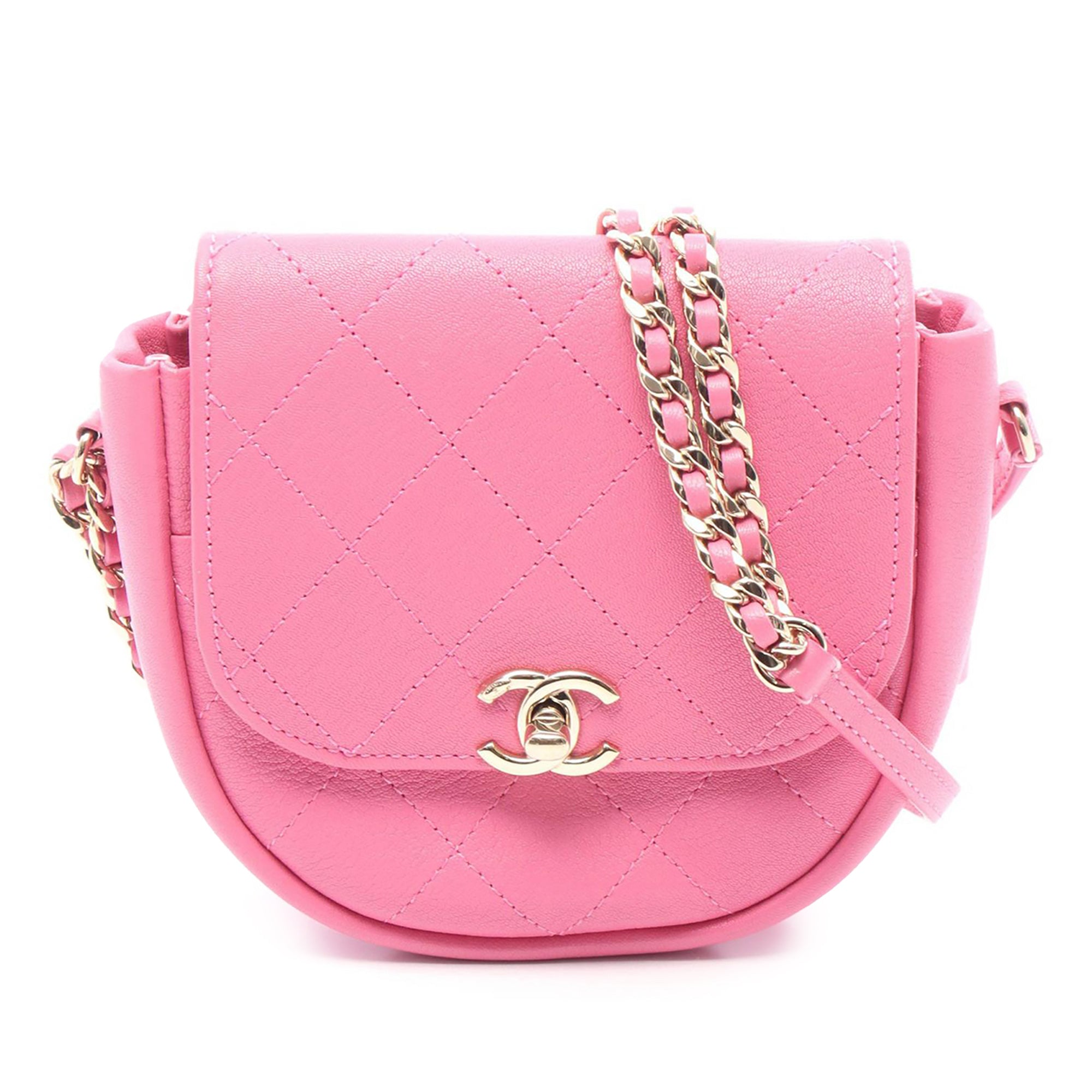 Chanel Stitched Goatskin Casual Trip Flap - image 1