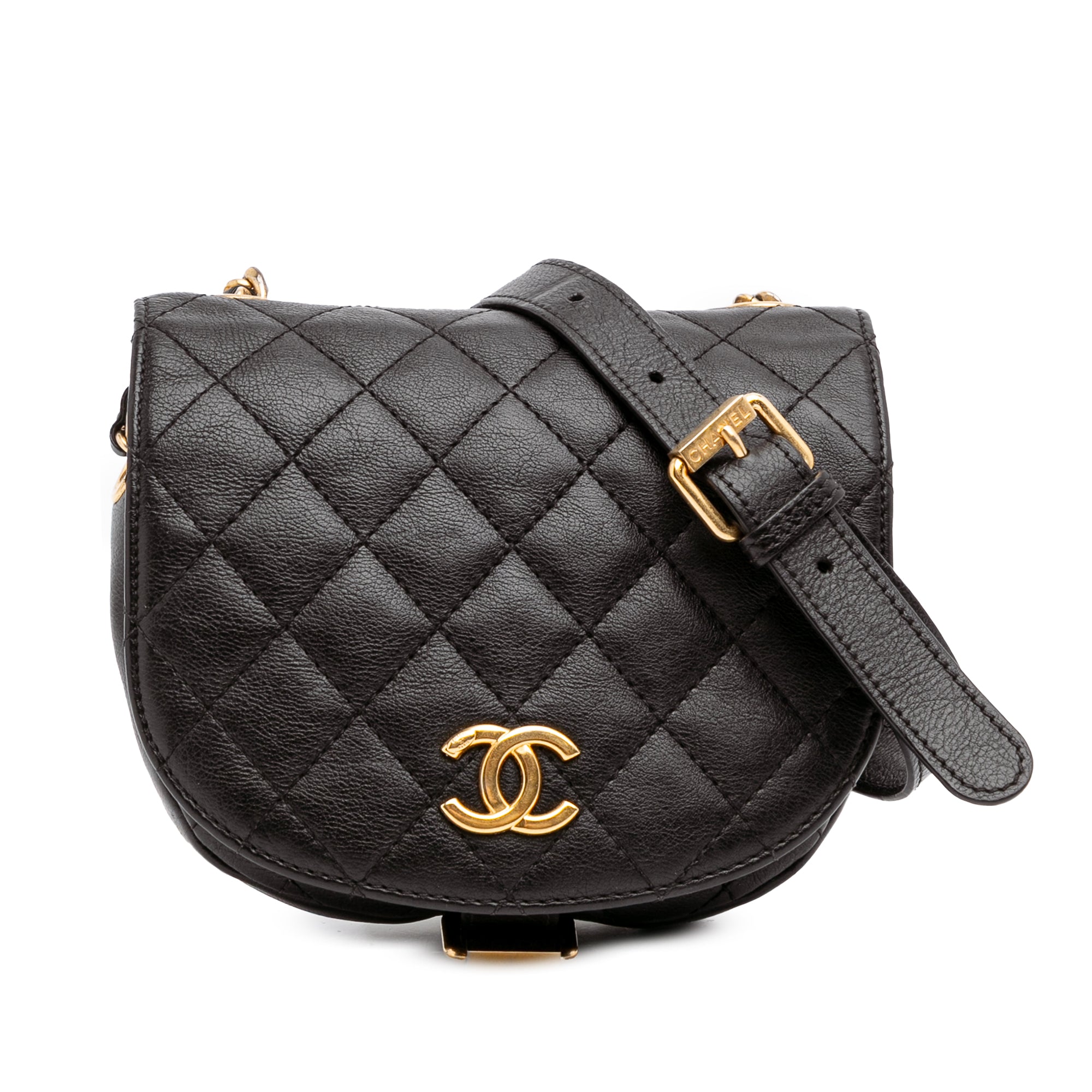 Chanel Quilted Grained Calfskin Casual Trip Messenger - image 1