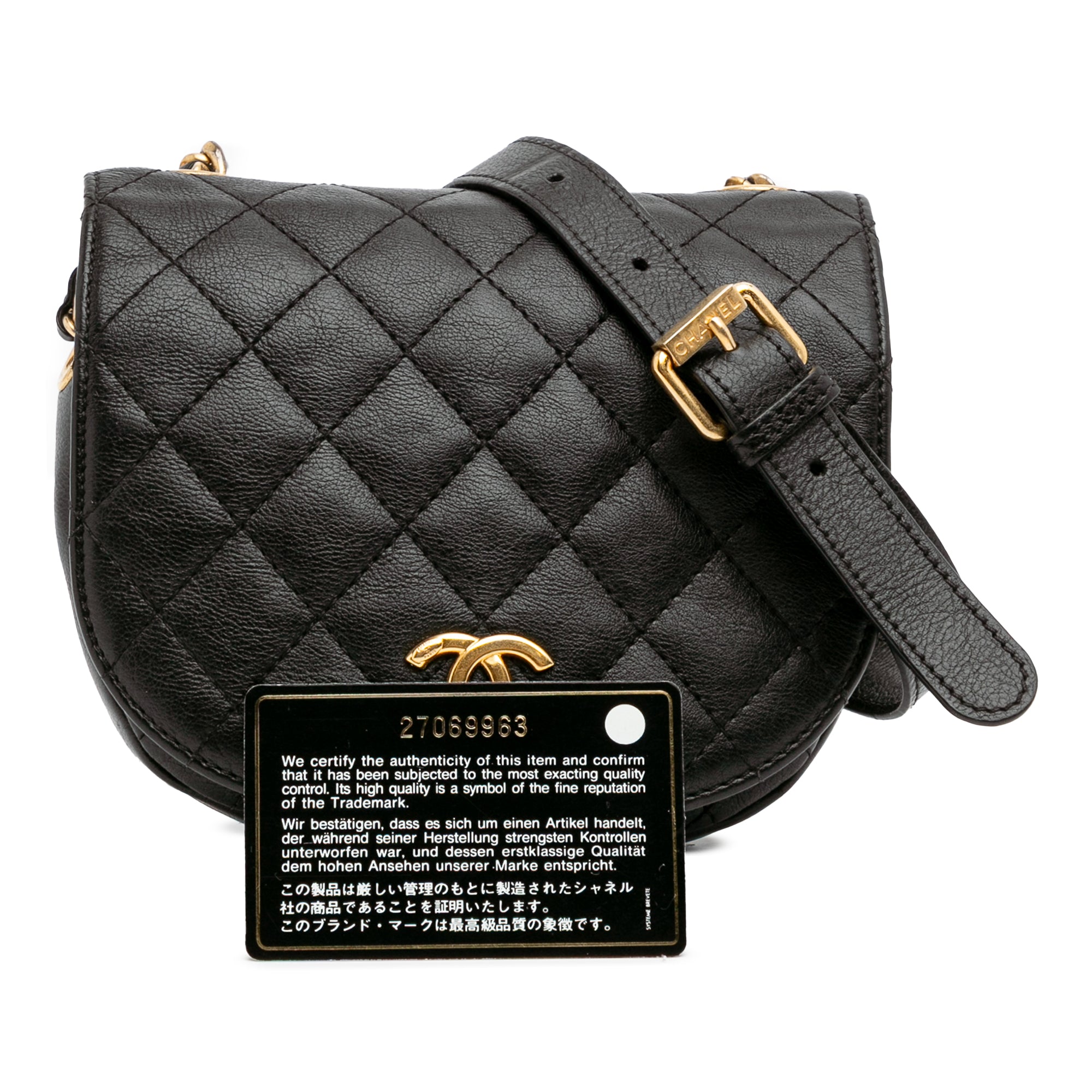 Chanel Quilted Grained Calfskin Casual Trip Messenger - image 12
