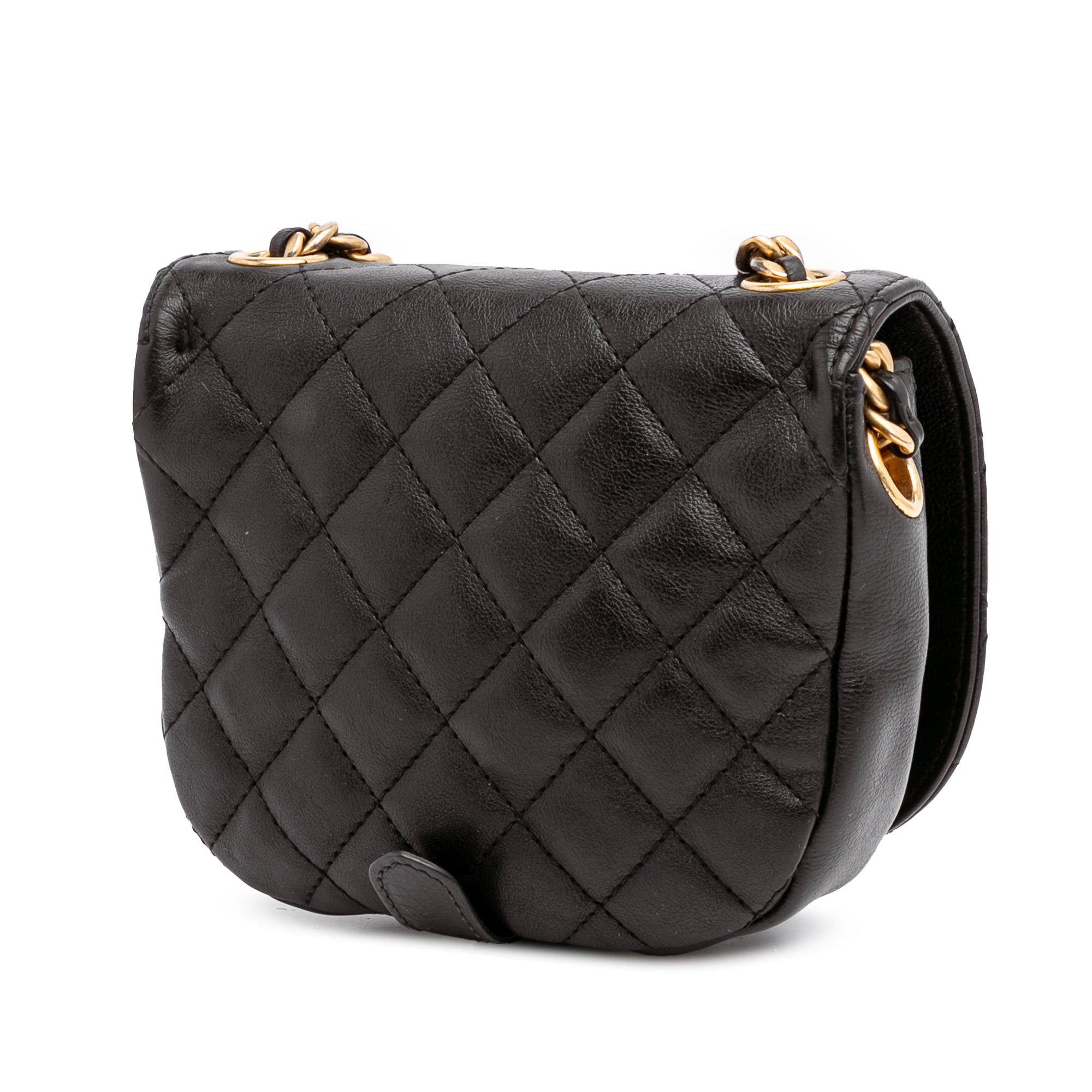 Chanel Quilted Grained Calfskin Casual Trip Messenger - image 2