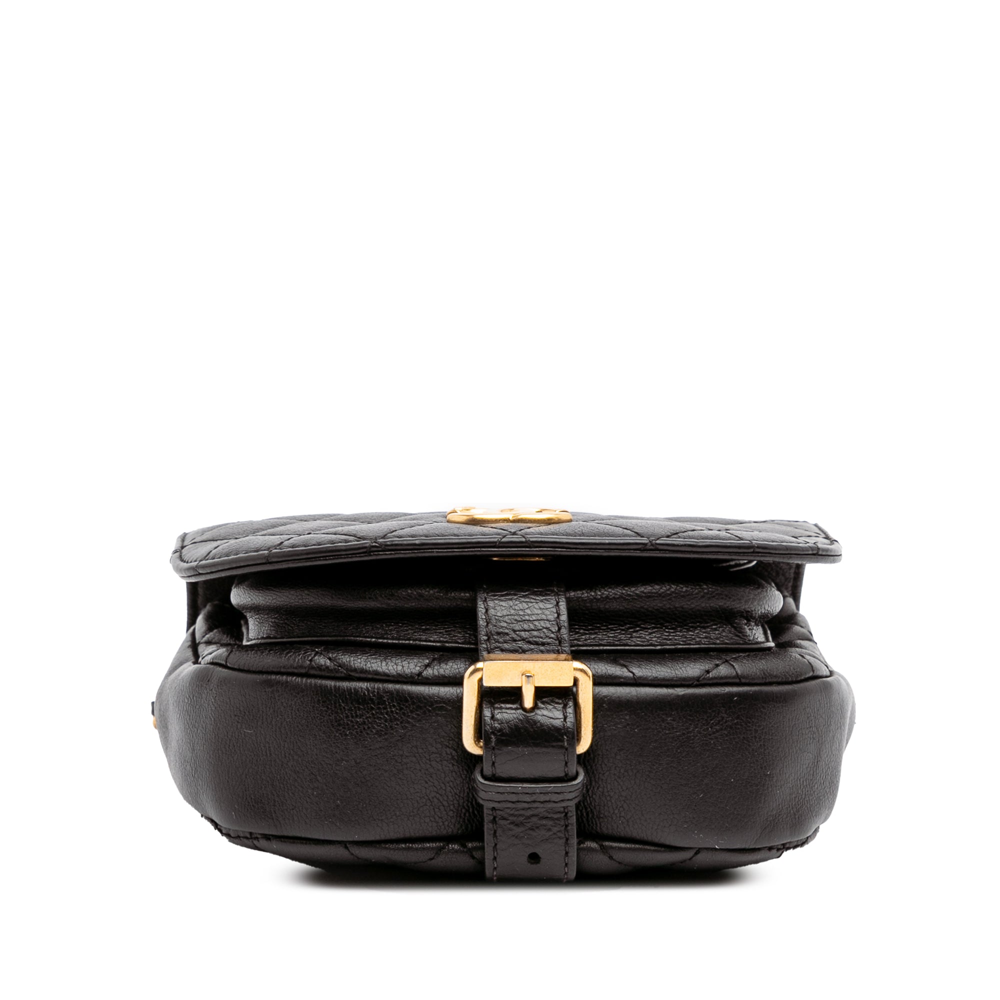 Chanel Quilted Grained Calfskin Casual Trip Messenger - image 3