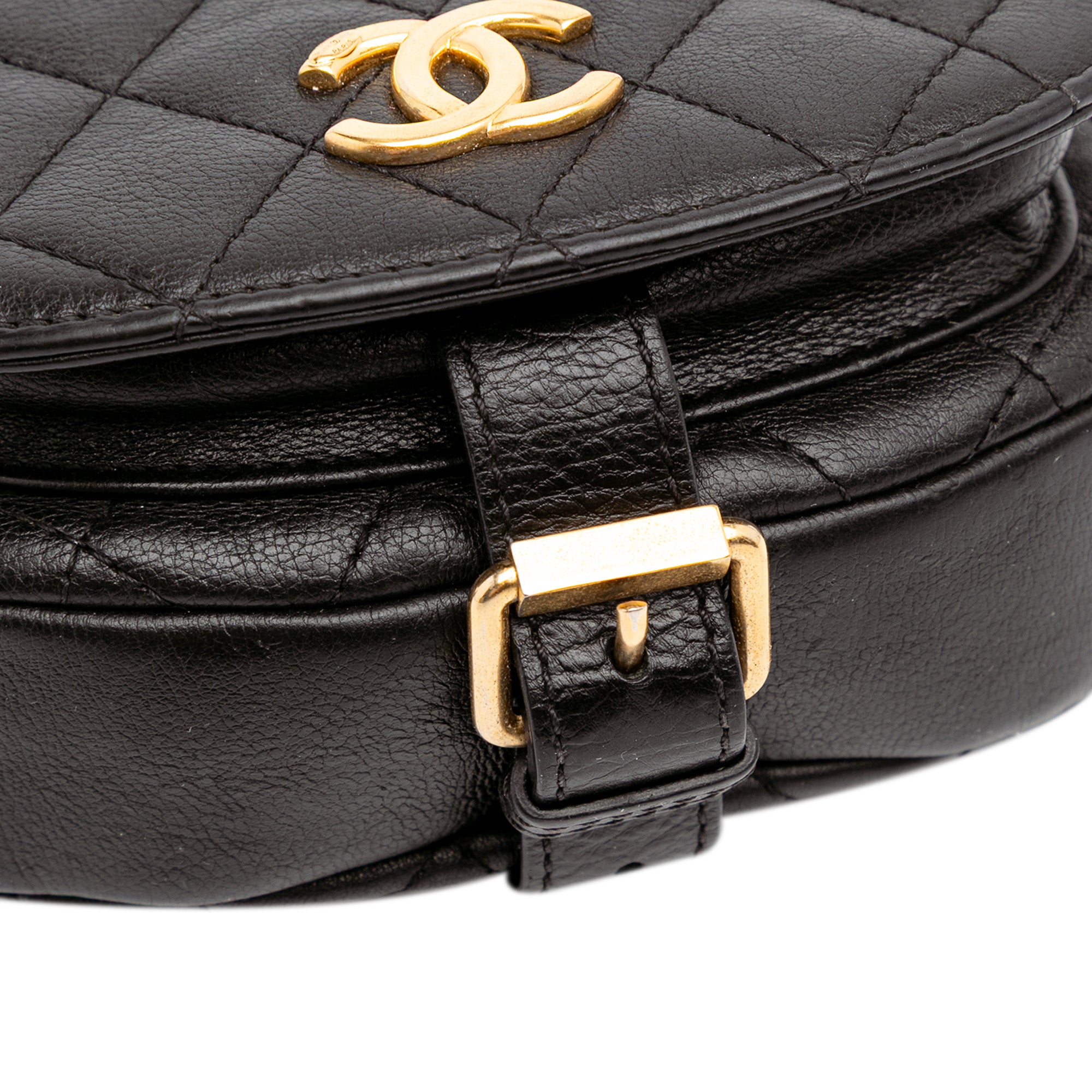 Chanel Quilted Grained Calfskin Casual Trip Messenger - image 7