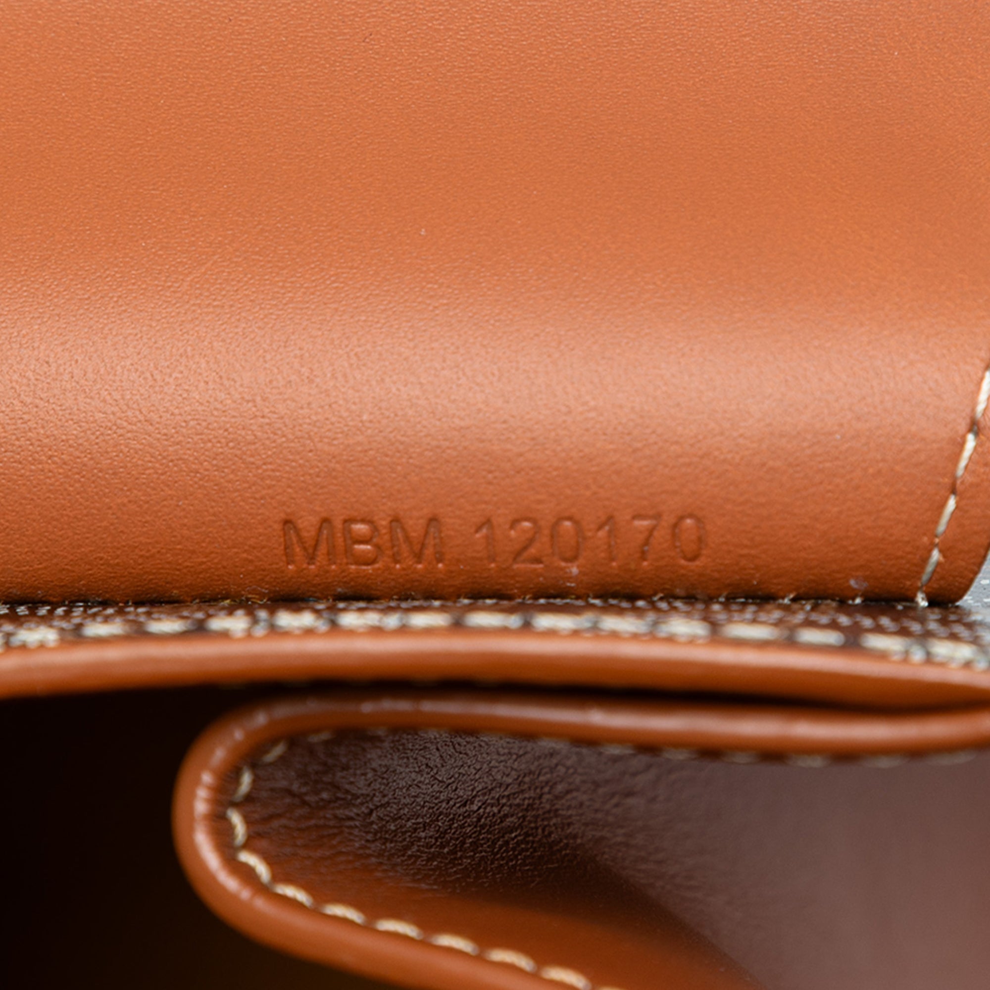 Goyard Goyardine Saigon Structured PM - image 6