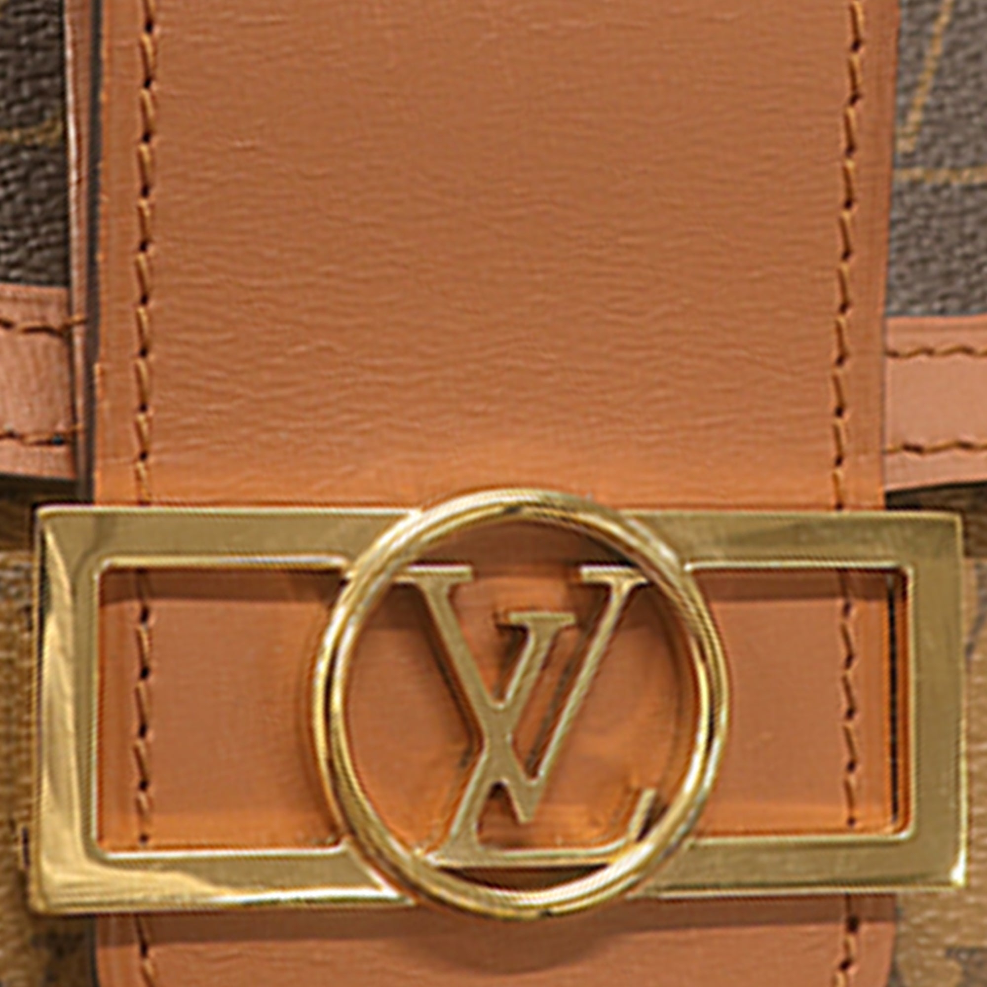 Louis Vuitton Monogram Reverse Dauphine MM - image 9