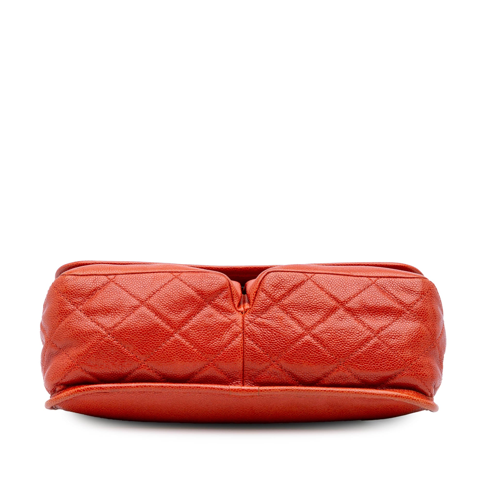 Chanel Medium Grained Calfskin Natural Beauty Flap - image 3