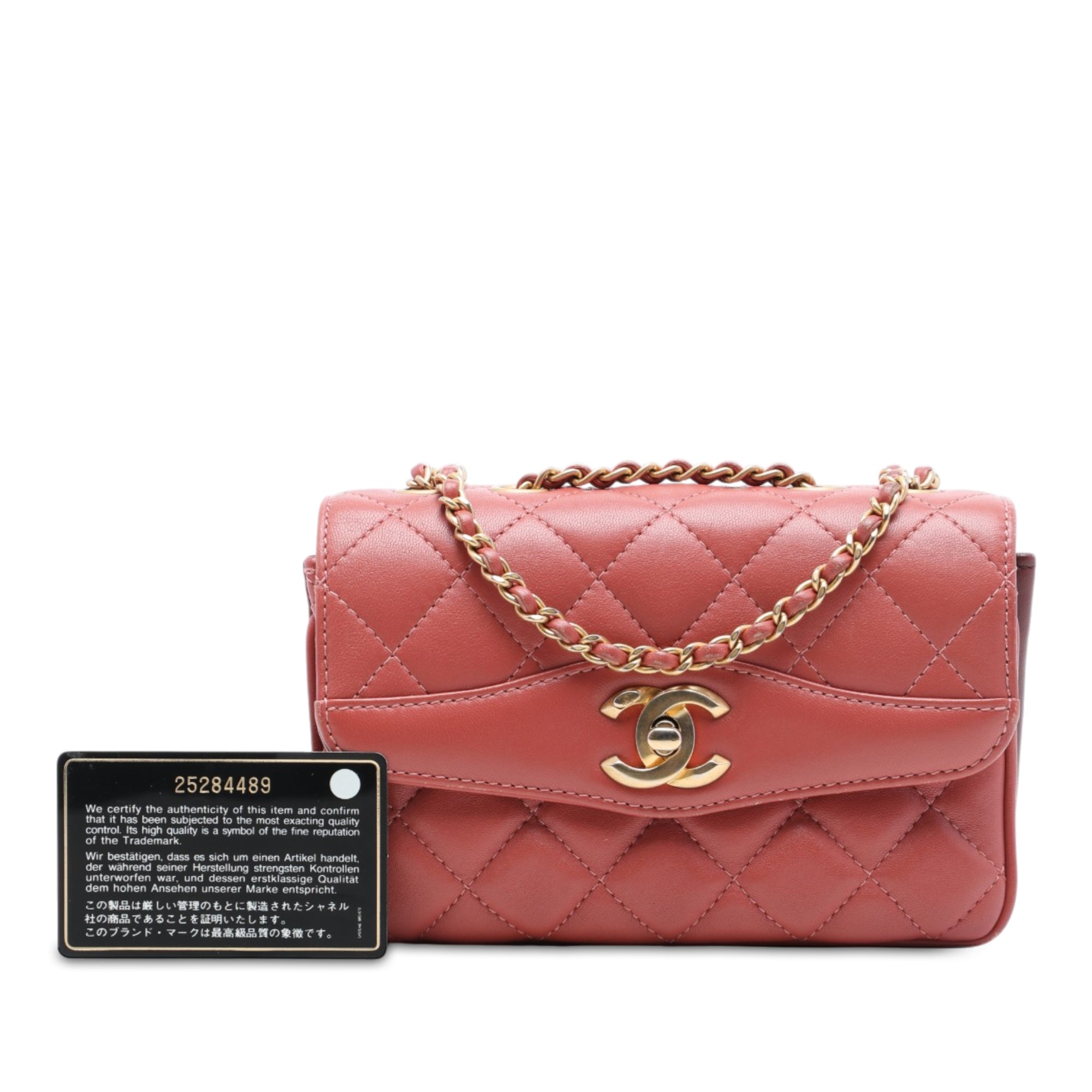 Chanel Small Quilted Lambskin Daily Companion Flap - image 7