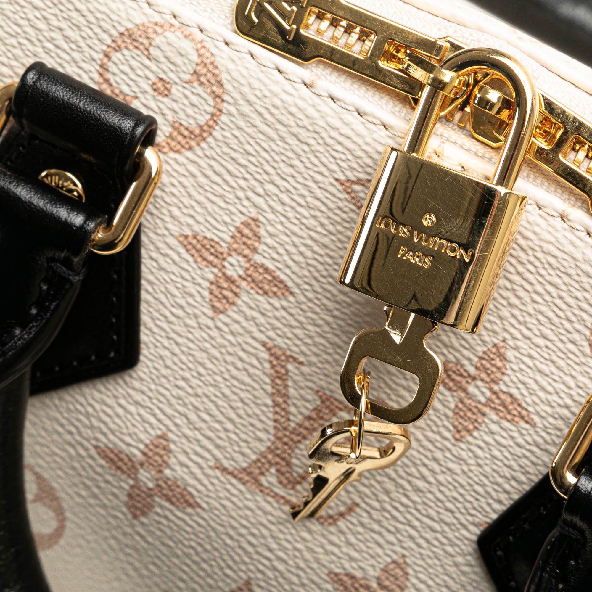 Louis Vuitton Monogram Dune Speedy Bandouliere 20 - image 6