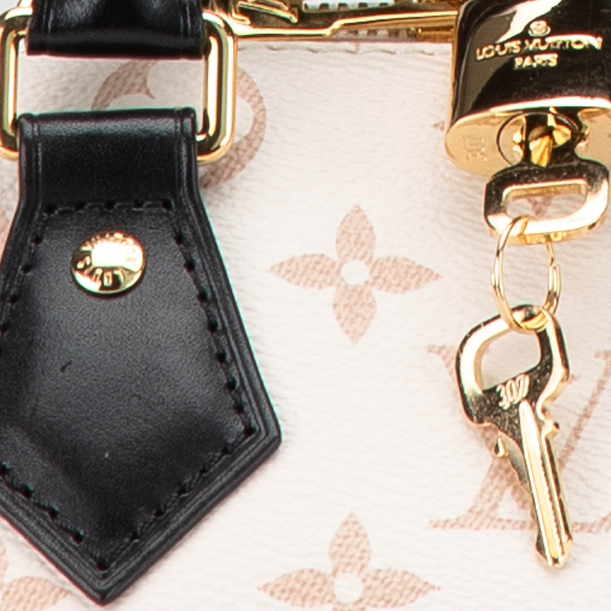 Louis Vuitton Monogram Dune Speedy Bandouliere 20 - image 7
