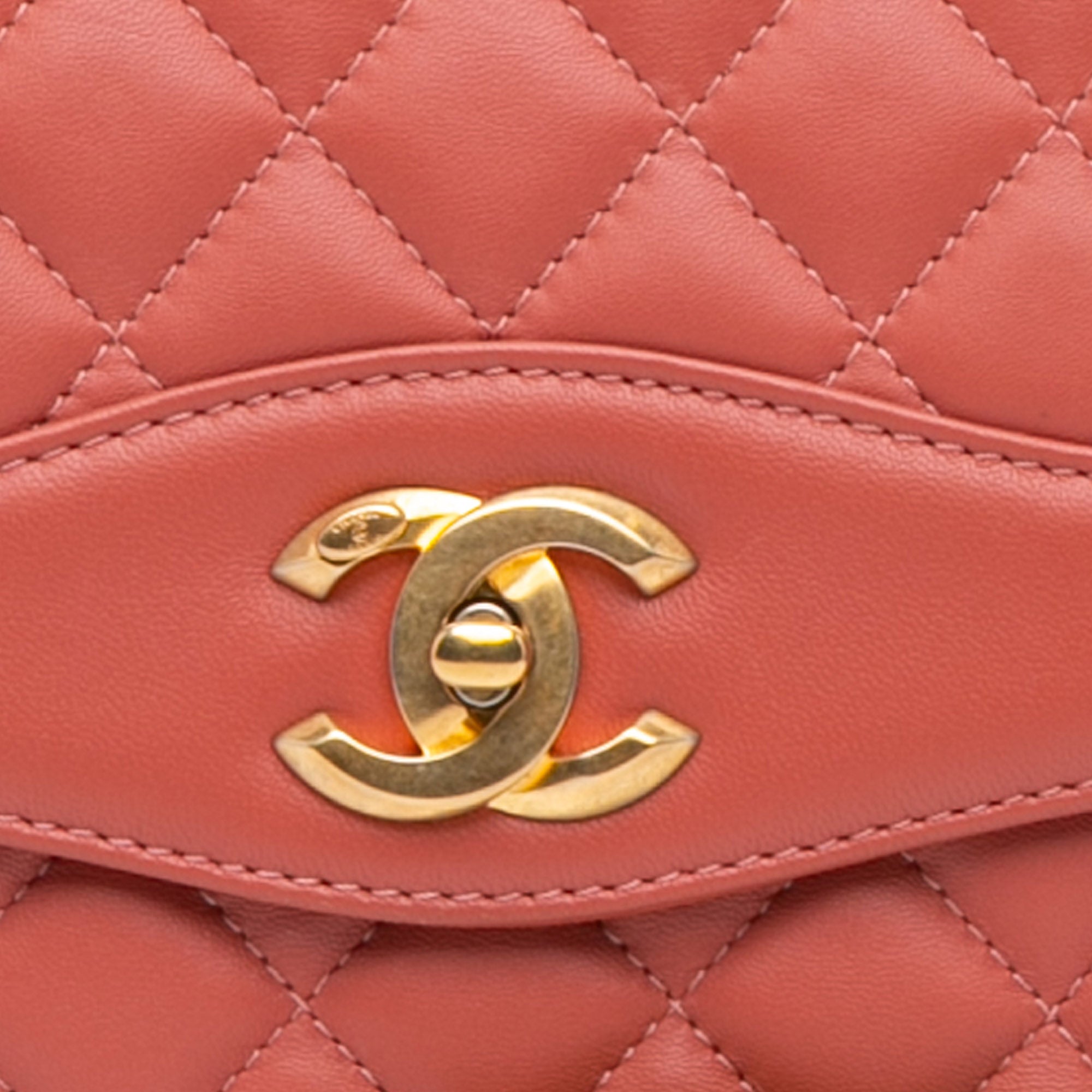 Chanel Large Quilted Lambskin Daily Companion Flap - image 10
