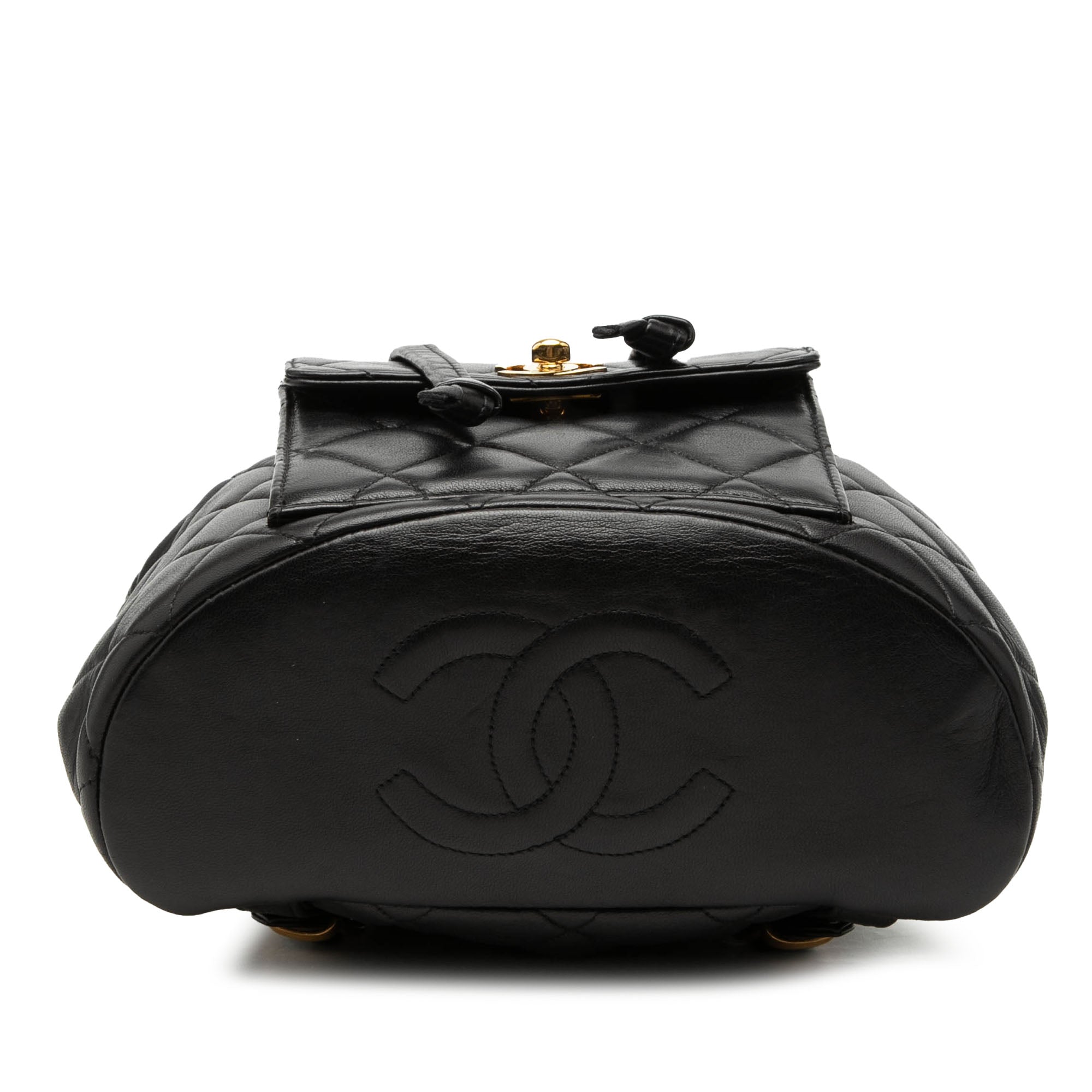 Chanel Medium Quilted Lambskin Duma Backpack - image 3