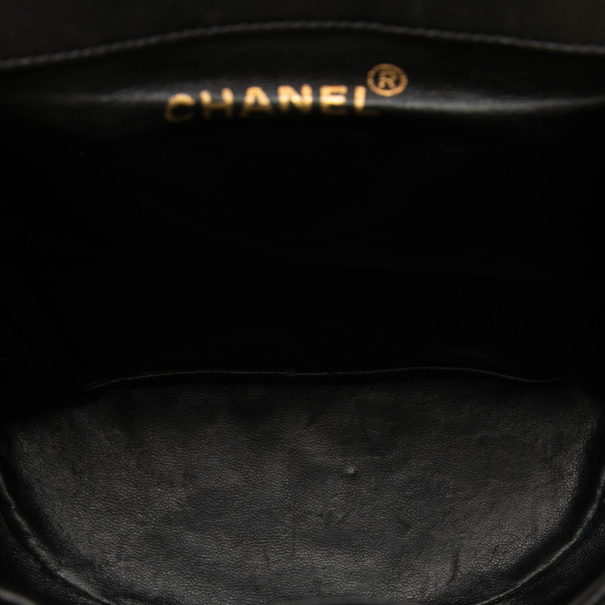 Chanel Medium Quilted Lambskin Duma Backpack - image 4