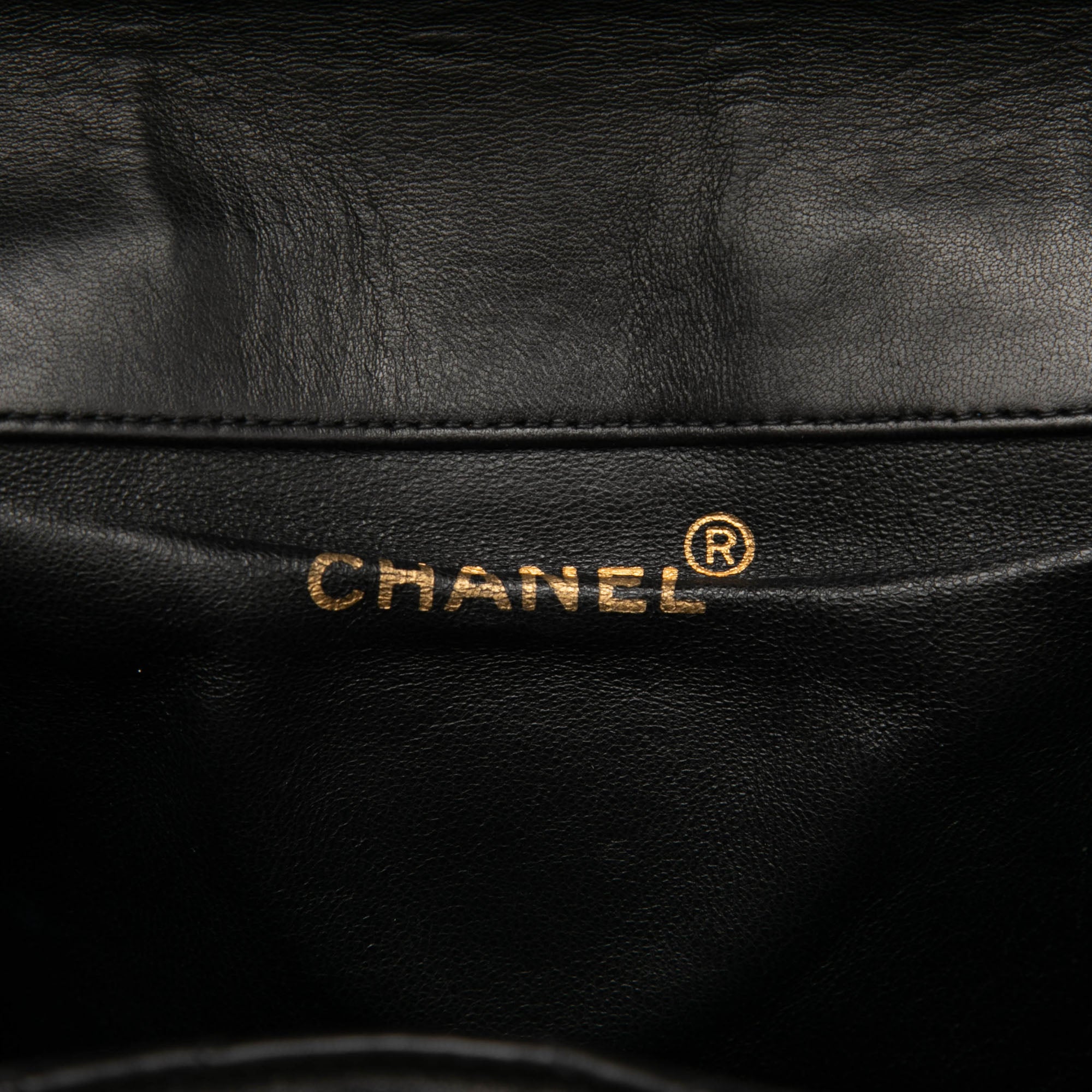 Chanel Medium Quilted Lambskin Duma Backpack - image 5