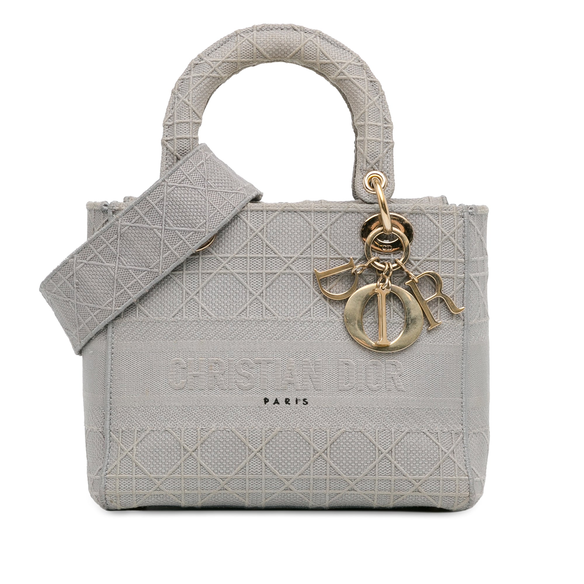 Dior Medium Embroidered Canvas Cannage Lady D Lite - image 1