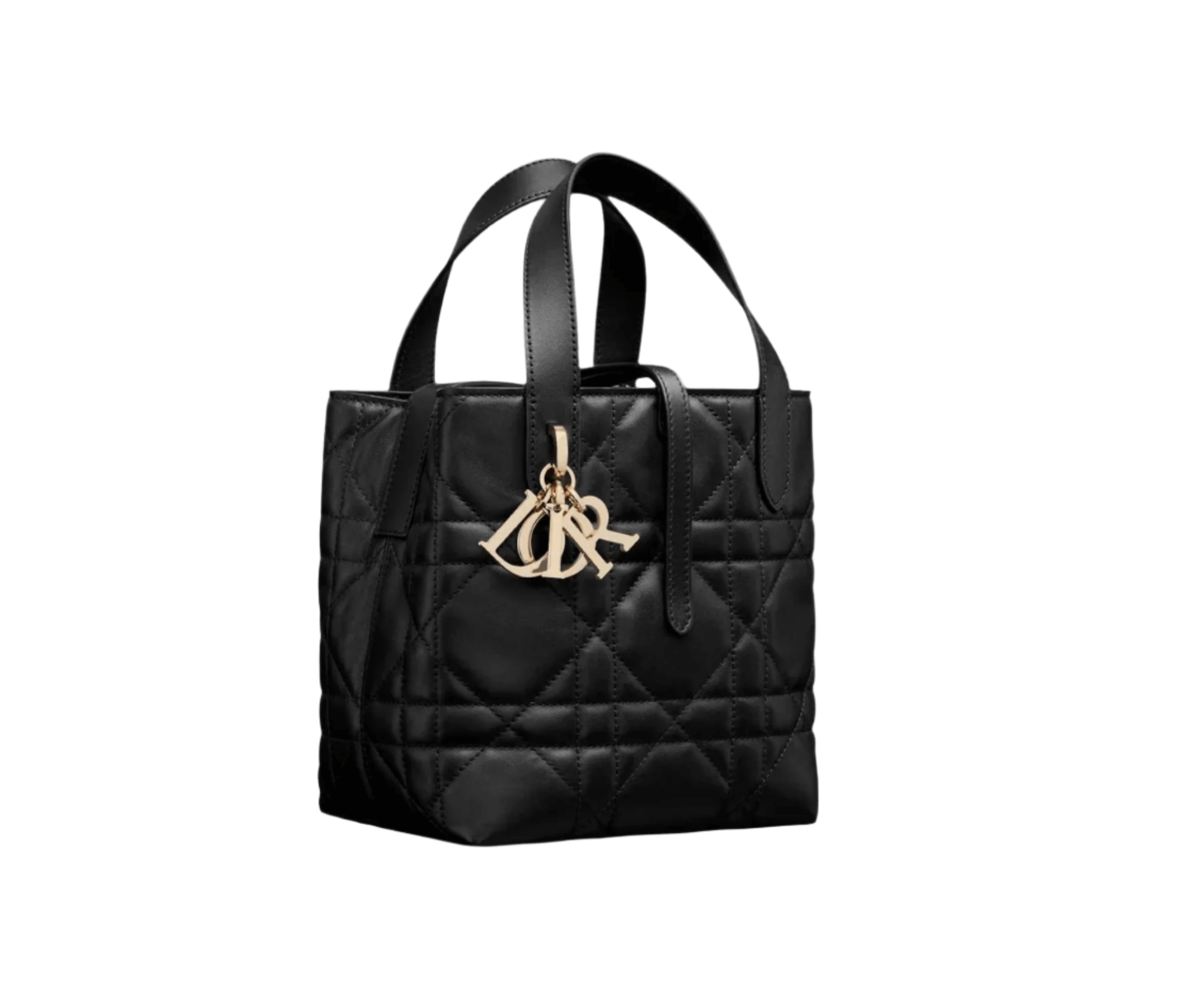 Side profile of Dior Small Vertical Tote showing slim structure, top handles, and adjustable removable shoulder strap
