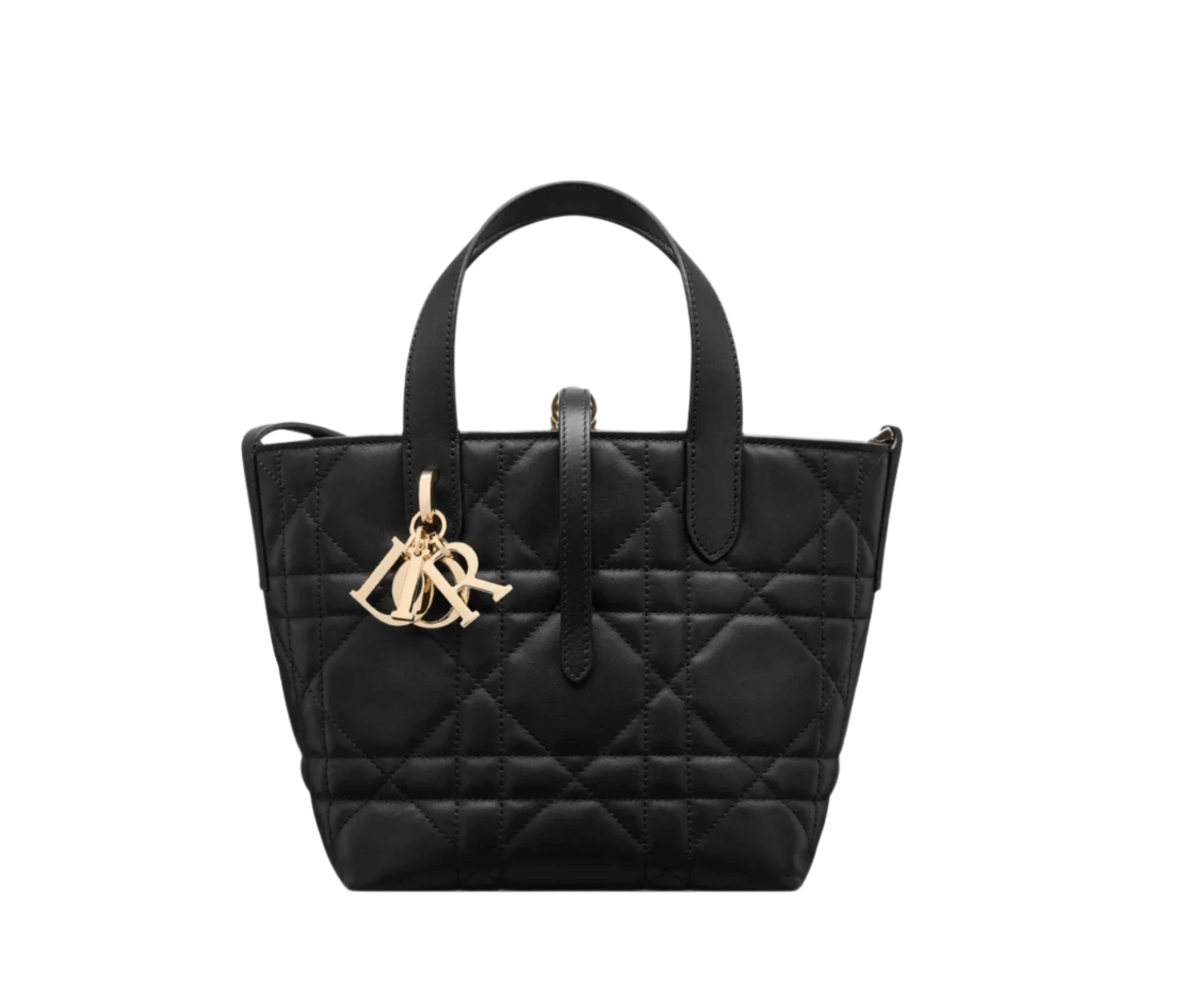 Dior Small Toujours Vertical Tote Bag in black calfskin leather with Christian Dior Paris band and CD Lock closure
