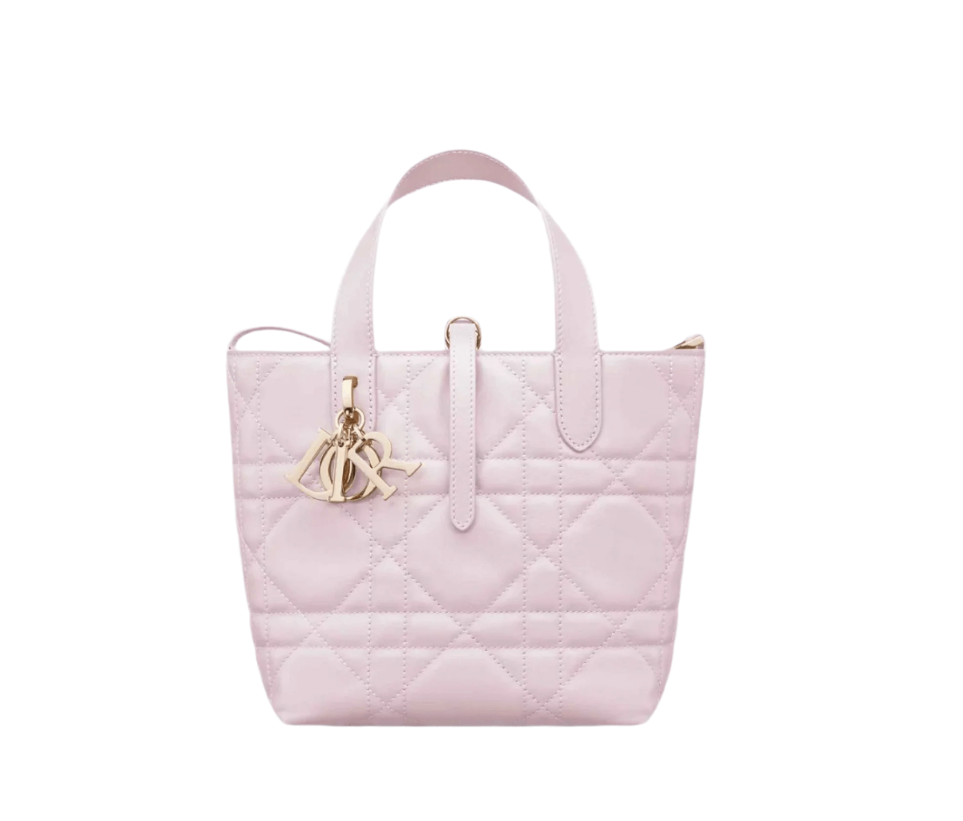 Dior Small Toujours Vertical Tote in smooth calfskin leather with top handles and Christian Dior Paris band
