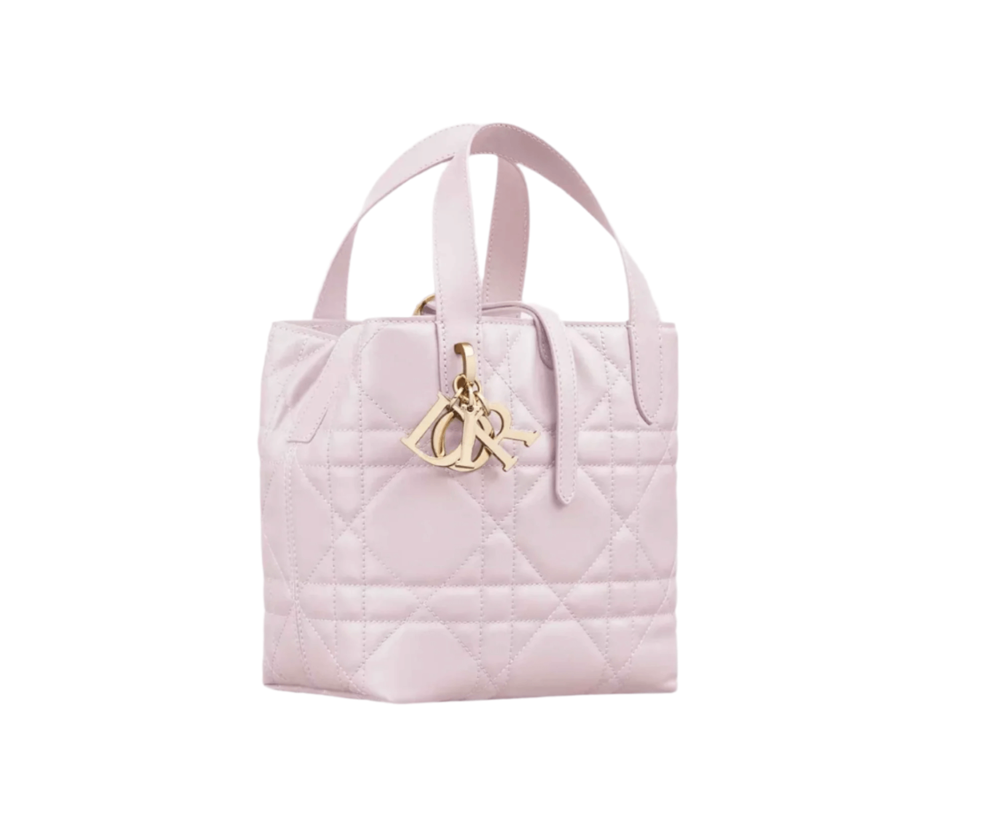 Side view of Dior Vertical Tote Small showing slim silhouette, lace-through strap, and dual carry options
